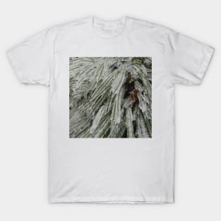 Frozen Pine Branches - Freezing Rain in the Spring T-Shirt